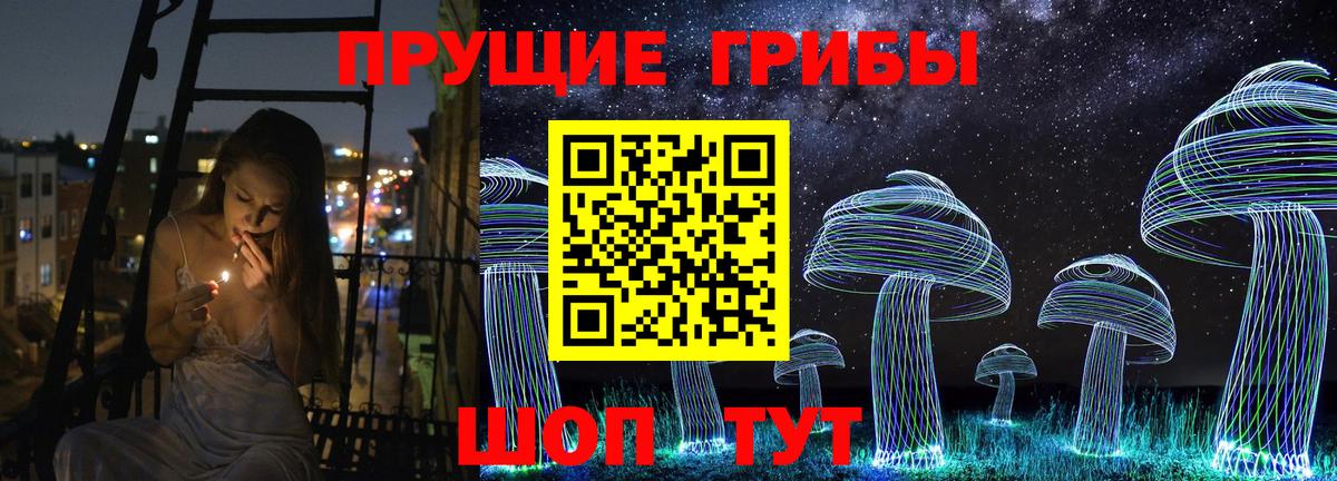 Псилоцибиновые грибы Psilocybe Вышний Волочёк